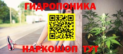 ГАЛЛЮЦИНОГЕННЫЕ ГРИБЫ Ирбит